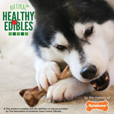 Show full view: Nylabone Healthy Edibles WILD Natural Long Lasting Bison Dog Chew Treat, Large slide 7 of 13