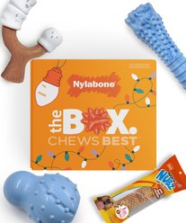 Nylabone Holiday Toys & Treat Large Dog Gift Box slide 1 of 9