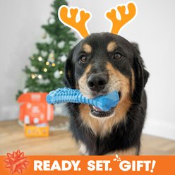 Nylabone Holiday Toys & Treat Large Dog Gift Box slide 2 of 9