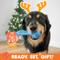 Show in main carousel: Nylabone Christmas Holiday Toys & Treat Large Dog Gift Box slide 7 of 11