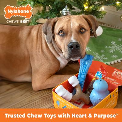 Show full view: Nylabone Christmas Holiday Toys & Treat Large Dog Gift Box slide 3 of 11