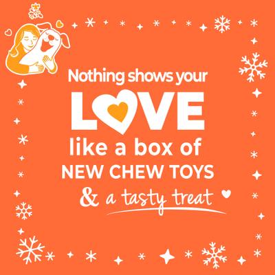 Show full view: Nylabone Christmas Holiday Toys & Treat Large Dog Gift Box slide 6 of 11