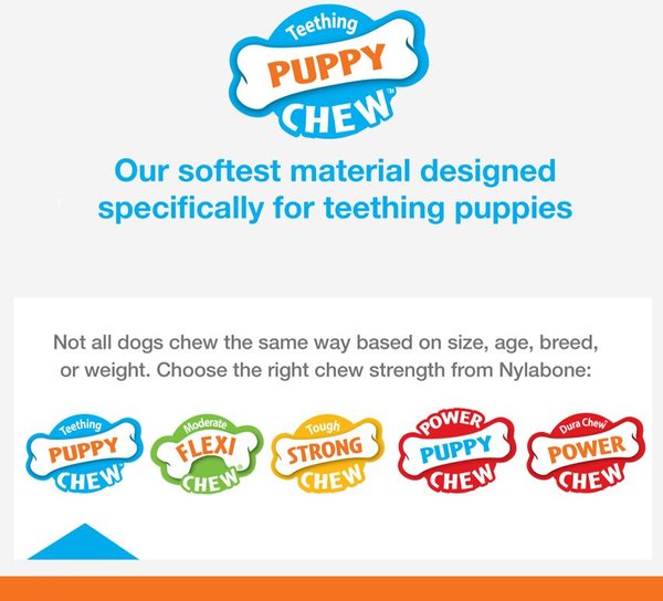 Nylabone Just for Puppies Double Action Bone Puppy Dog Teething Chew Toy Bacon Blue