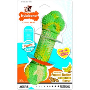 Nylabone Just for Puppies Double Action Bone Puppy Dog Teething Chew Toy, Banana & Peanut Butter