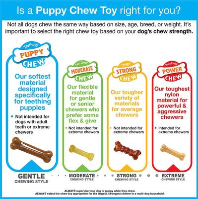 Show full view: Nylabone Just for Puppies Teething Chew Ring Chicken Dog Bone, Medium, 2 count slide 9 of 13