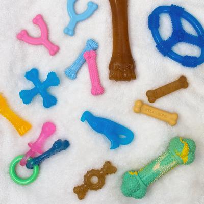 Show full view: Nylabone Just for Puppies Teething Chew Toy Classic Bone Chicken, X-Large  slide 5 of 13