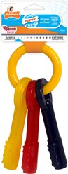Nylabone Just for Puppies Teething Chew Toy Keys Bacon, Large
