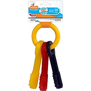 Nylabone Just for Puppies Teething Chew Toy Keys Bacon, Large