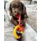 Show in main carousel: Nylabone Just for Puppies Teething Chew Toy Keys Bacon, Large slide 3 of 14