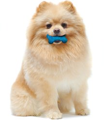 Nylabone Moderate Chew FlexiChew Dog Bone, Twin Pack, Peanut Butter & Bacon, XX-Small slide 2 of 9