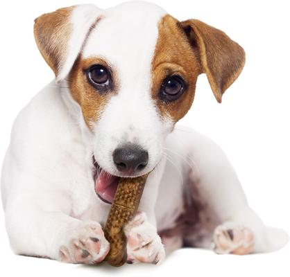 Show full view: Nylabone Natural Nubz Chicken Dog Treat, Small, 8 count slide 9 of 11