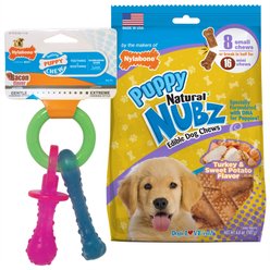 Nylabone Nubz Turkey & Sweet Potato Chew Treat, 8 count + Puppy Chew Teething Pacifier Dog Toy, Small