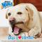 Show in main carousel: Nylabone Nubz WILD Natural Long Lasting Edible Bison Flavor Dog Chews, X-Large slide 7 of 12