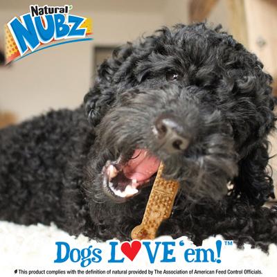 Show full view: Nylabone Nubz WILD Natural Long Lasting Edible Bison Flavor Jumbo Dog Chew Treat, 2 count slide 7 of 11