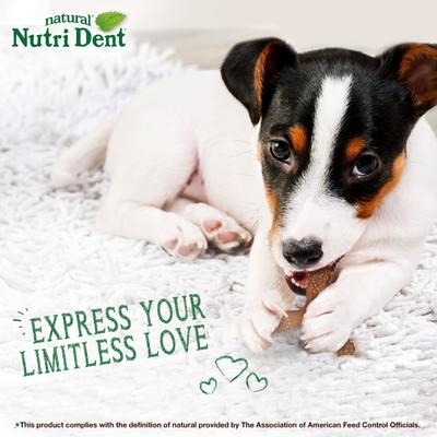 Show full view: Nylabone Nutri Dent Easy Hold Trios Dental Dog Treat, Filet Mignon, Medium, 20 count slide 10 of 11