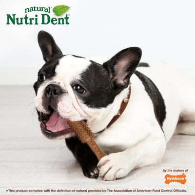 Show full view: Nylabone Nutri Dent Filet Mignon Flavored Dog Dental Chews, Medium, 20 count slide 7 of 13