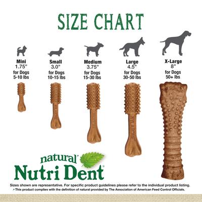 Show full view: Nylabone Nutri Dent Filet Mignon Flavored Dog Dental Chews, Medium, 40 count slide 6 of 12
