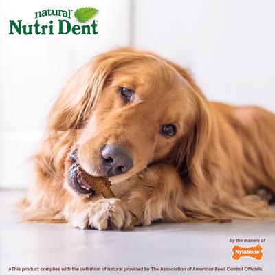 Show full view: Nylabone Nutri Dent Filet Mignon Flavored Dog Dental Chews, Regular, Large, 20 Count slide 5 of 13