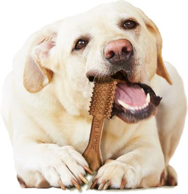 Show full view: Nylabone Nutri Dent Filet Mignon Flavored Dog Dental Chews, Regular, Large, 20 Count slide 7 of 13