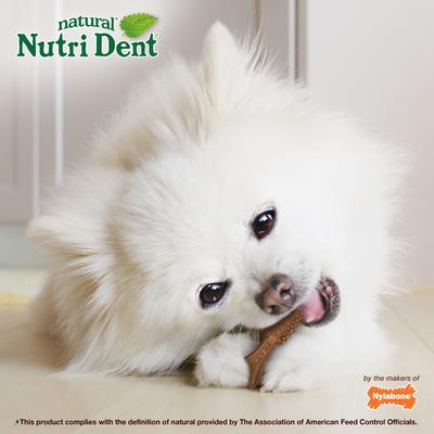 Show full view: Nylabone Nutri Dent Filet Mignon Flavored Dog Dental Chews, Regular, Mini, 160 Count slide 5 of 13