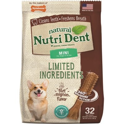 Nylabone Nylabone Nutri Dent Filet Mignon Flavored Dog Dental Chews, Regular, Mini 32 Count