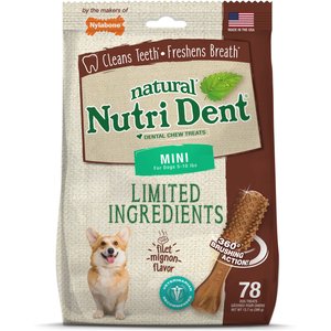 Nylabone Nutri Dent Filet Mignon Flavored Dog Dental Chews, Regular, Mini, 78 Count