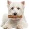 Show in main carousel: Nylabone Nutri Dent Filet Mignon Flavored Dog Dental Chews, Small, 28 count slide 10 of 13