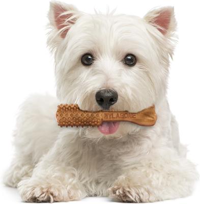 Show full view: Nylabone Nutri Dent Filet Mignon Flavored Dog Dental Chews, Small, 28 count slide 10 of 13