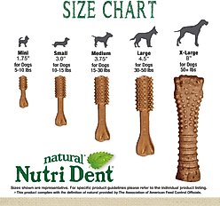 Nylabone Nutri Dent Filet Mignon Flavored Dog Dental Chews, Small, 64 count slide 2 of 9