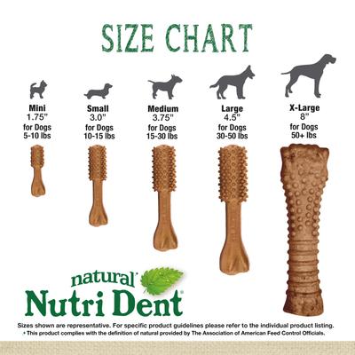 Show full view: Nylabone Nutri Dent Filet Mignon Flavored Dog Dental Chews, Small, 64 count slide 7 of 13