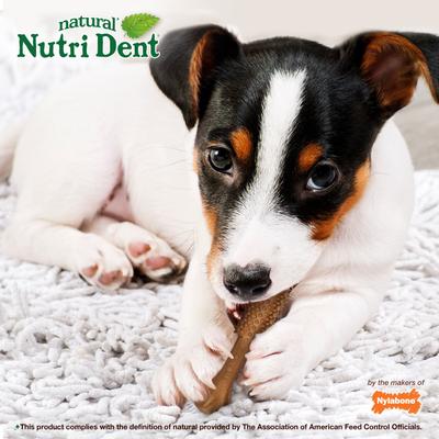 Show full view: Nylabone Nutri Dent Filet Mignon Flavored Dog Dental Chews, Small, 64 count slide 5 of 13