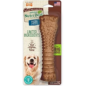 Nylabone Nutri Dent Filet Mignon Flavored Dog Dental Chews, X-Large