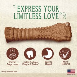 Nylabone Nutri Dent Filet Mignon Flavored Dog Dental Chews, X-Large slide 2 of 8