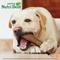 Show in main carousel: Nylabone Nutri Dent Filet Mignon Flavored Dog Dental Chews, X-Large slide 6 of 11