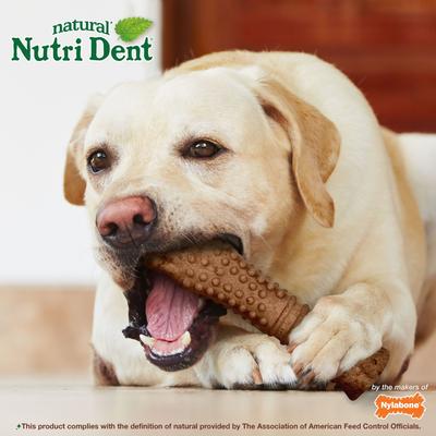 Show full view: Nylabone Nutri Dent Filet Mignon Flavored Dog Dental Chews, X-Large slide 6 of 11