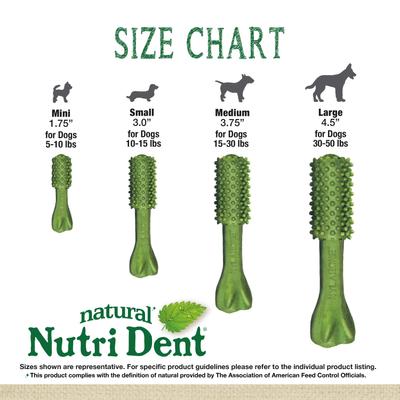 Show full view: Nylabone Nutri Dent Limited Ingredients Large Fresh Breath Natural Dental Dog Treats, 20 count slide 8 of 13