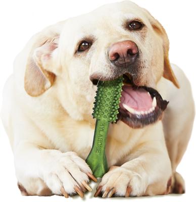 Show full view: Nylabone Nutri Dent Limited Ingredients Large Fresh Breath Natural Dental Dog Treats, 20 count slide 9 of 13