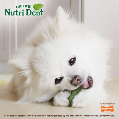 Show full view: Nylabone Nutri Dent Mini Limited Ingredients Fresh Breath Natural Dental Dog Treats, 160 count slide 8 of 13