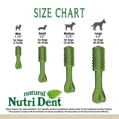 Show full view: Nylabone Nutri Dent Mini Limited Ingredients Fresh Breath Natural Dental Dog Treats, 32 count slide 4 of 13