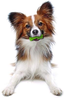 Show full view: Nylabone Nutri Dent Mini Limited Ingredients Fresh Breath Natural Dental Dog Treats, 32 count slide 10 of 13