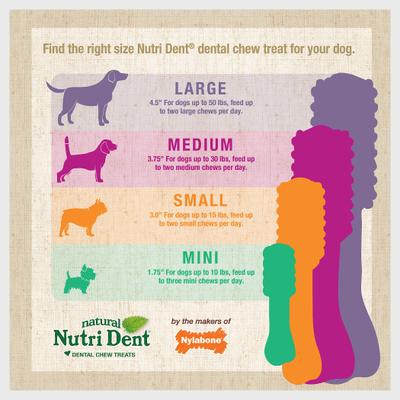Show full view: Nylabone Nutri Dent Mini Limited Ingredients Fresh Breath Natural Dental Dog Treats, 78 count slide 5 of 12