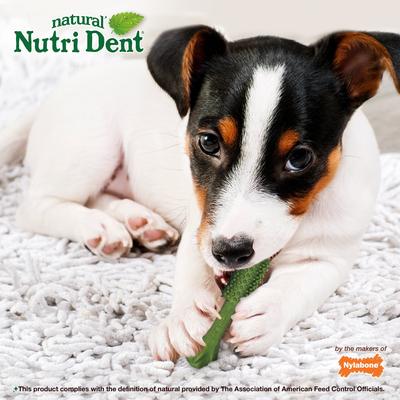 Show full view: Nylabone Nutri Dent Natural Dental Fresh Breath Flavored Chew Treat, Small, 28 count slide 7 of 13
