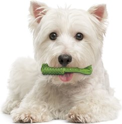 Nylabone Nutri Dent Natural Dental Fresh Breath Flavored Chew Treat, Small, 64 count slide 2 of 9