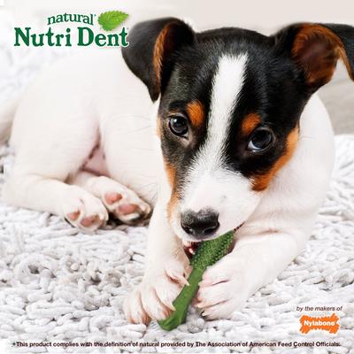 Show full view: Nylabone Nutri Dent Natural Dental Fresh Breath Flavored Chew Treat, Small, 64 count slide 6 of 13