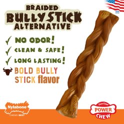 Nylabone Power Chew Alternative Braided Bully Stick Bully Dog Chew Toy, Large  slide 2 of 9