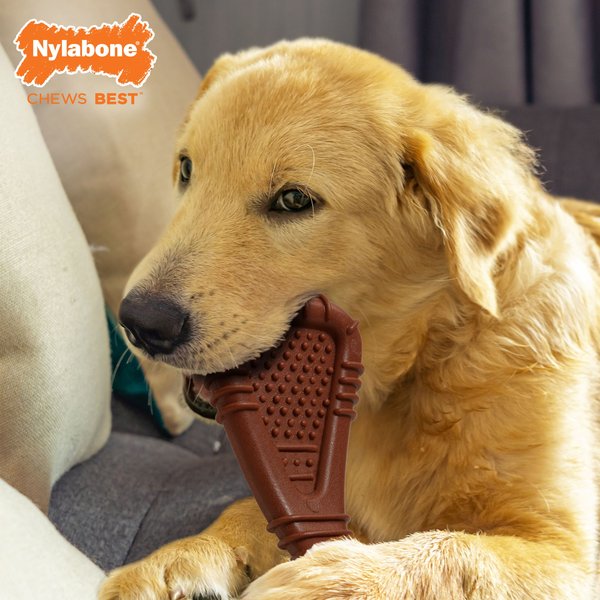 Nylabone Power Chew Arch Bone Dog Dental Chew Toy Beef