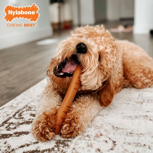 Nylabone Power Chew Baguette Dog Toy Chicken
