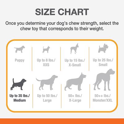 Show full view: Nylabone Power Chew Barbell Peanut Butter Flavored Dog Chew Toy, Medium slide 4 of 11