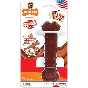 Nylabone Power Chew Basted Blast Dual Flavored Dog Chew Toys, Medium