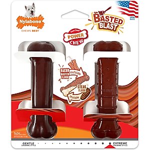 Nylabone Power Chew Basted Blast Dual Flavored Dog Chew Toys, Small